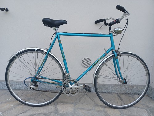 Vendo bici da uomo Agardi